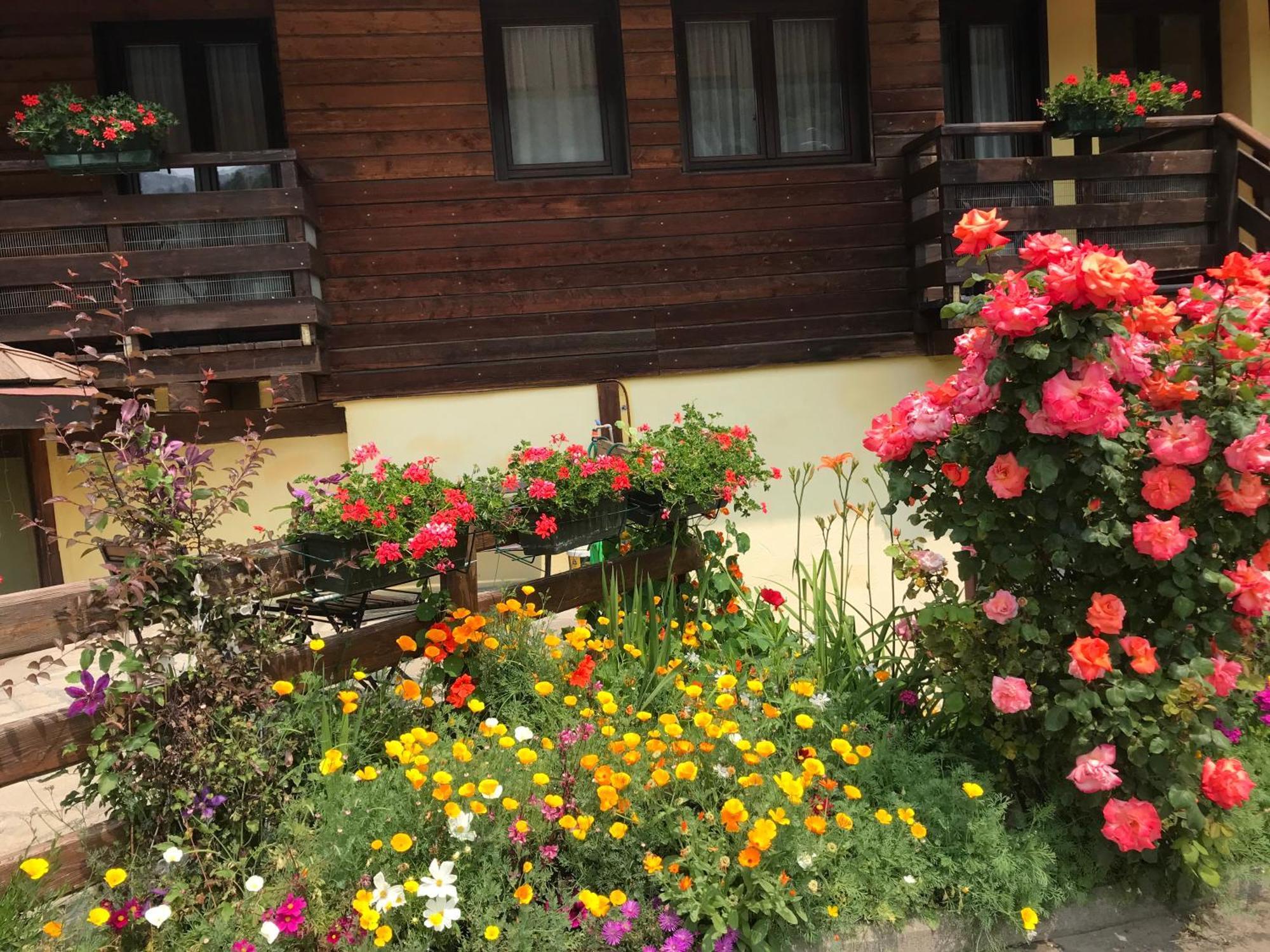 Hotel Ca Fiore バルドネッキア エクステリア 写真