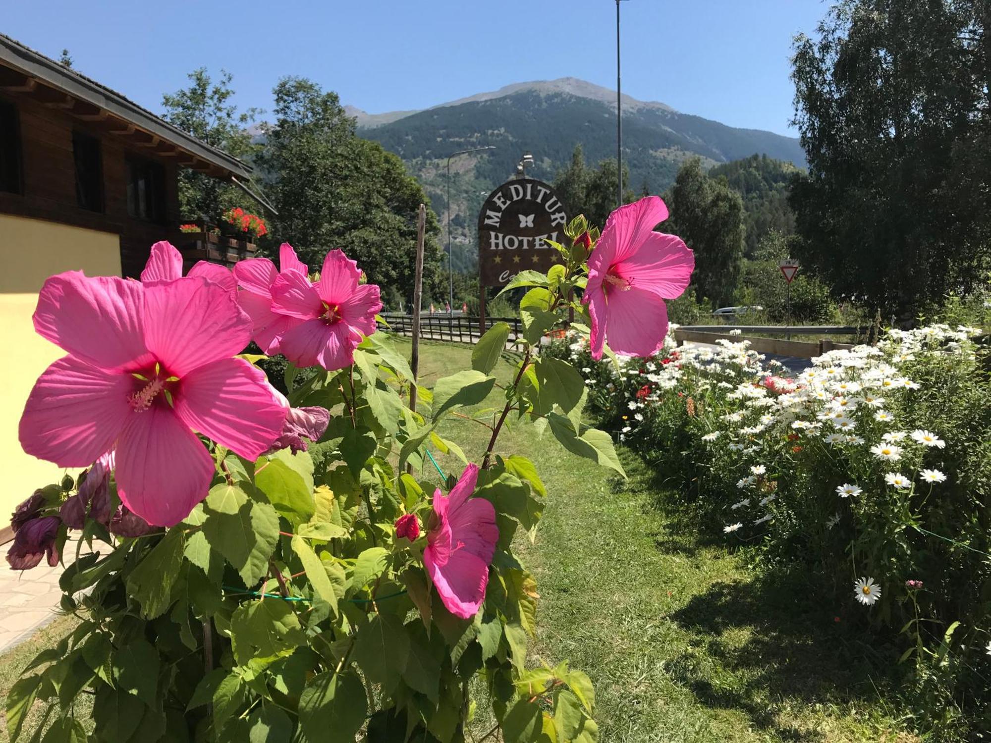 Hotel Ca Fiore バルドネッキア エクステリア 写真