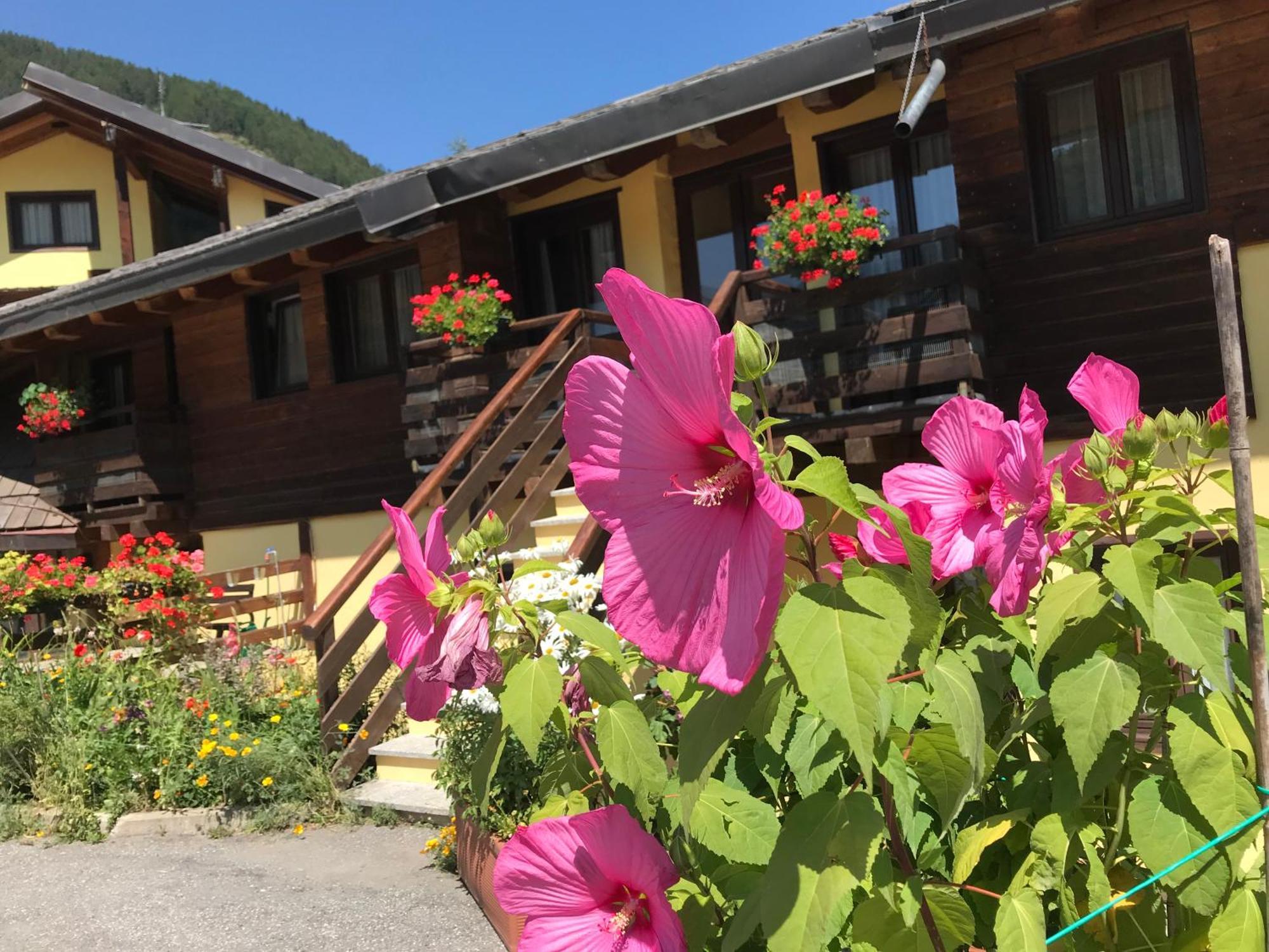Hotel Ca Fiore バルドネッキア エクステリア 写真